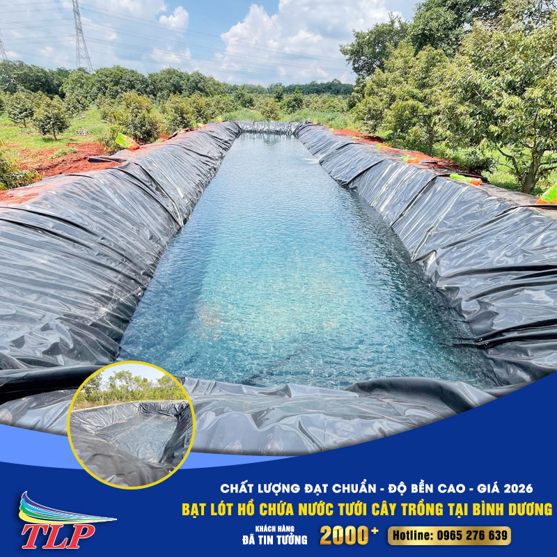 Bạt lót hồ chứa nước tưới cây trồng tại Bình Dương: Chất lượng đạt chuẩn - Độ bền cao - Giá 2026