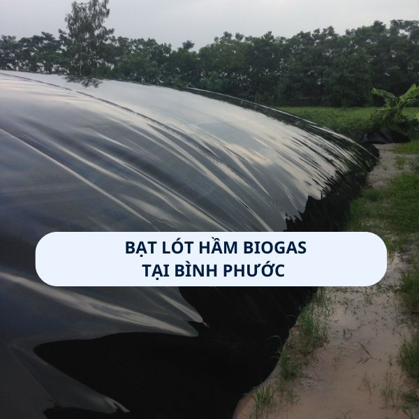 Bạt lót hầm Biogas tại Bình Phước