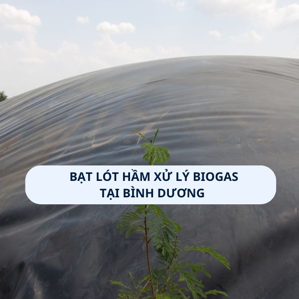 Bạt lót hầm xử lý Biogas tại Bình Dương