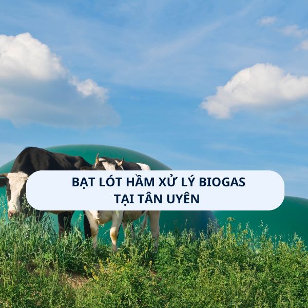 Bạt lót hầm xử lý Biogas tại Tân Uyên