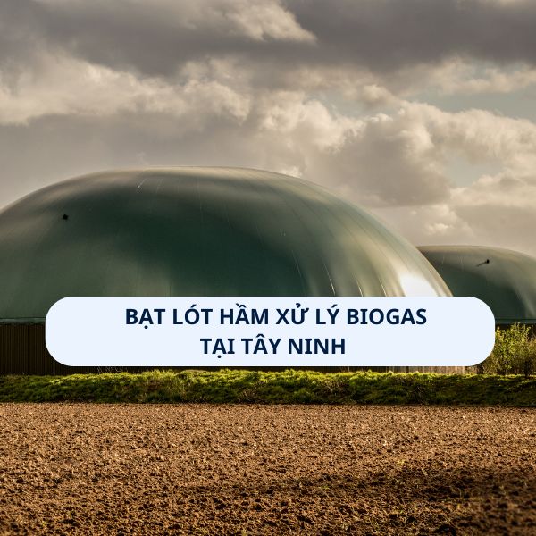 Bạt lót hầm xử lý Biogas tại Tây Ninh