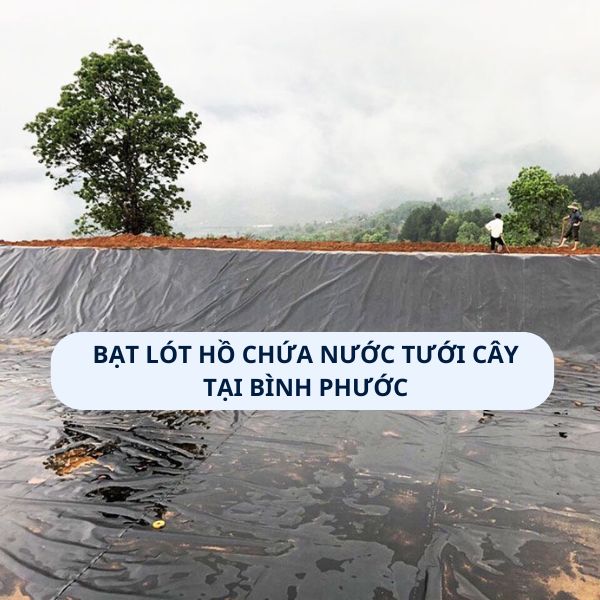 Bạt lót hồ chứa nước tưới cây trồng tại Bình Phước