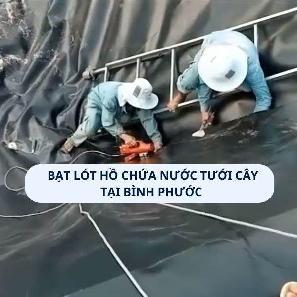 Bạt lót hồ chứa nước tưới cây tại Bù Đăng 