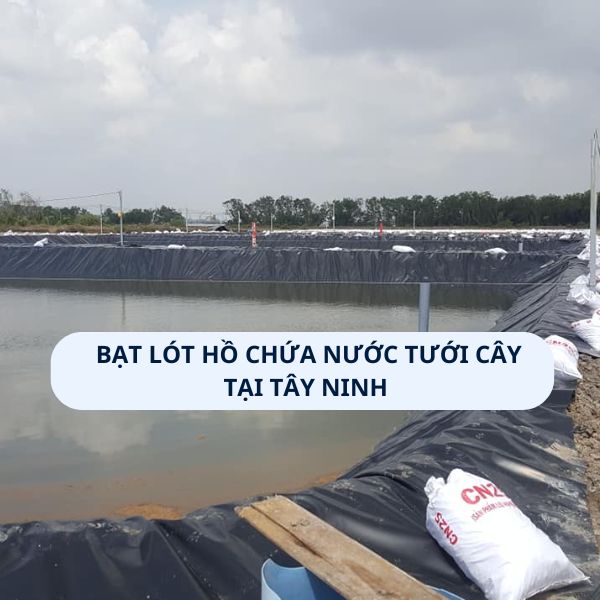 Bạt lót hồ chứa nước tưới cây tại Tây Ninh