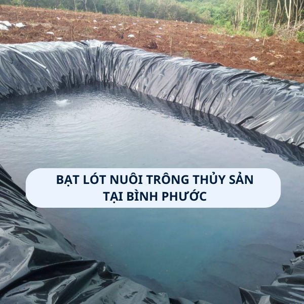 Bạt lót hồ nuôi trồng thủy sản tại Bình Phước