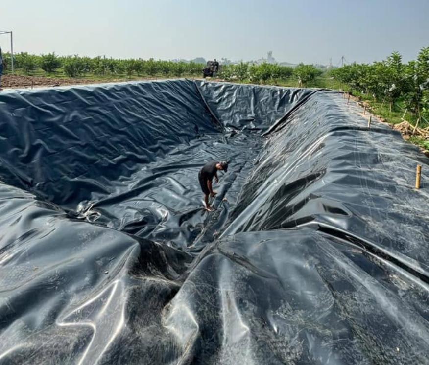 Bạt lót hồ chứa nước tưới cây trồng tại Bình Dương