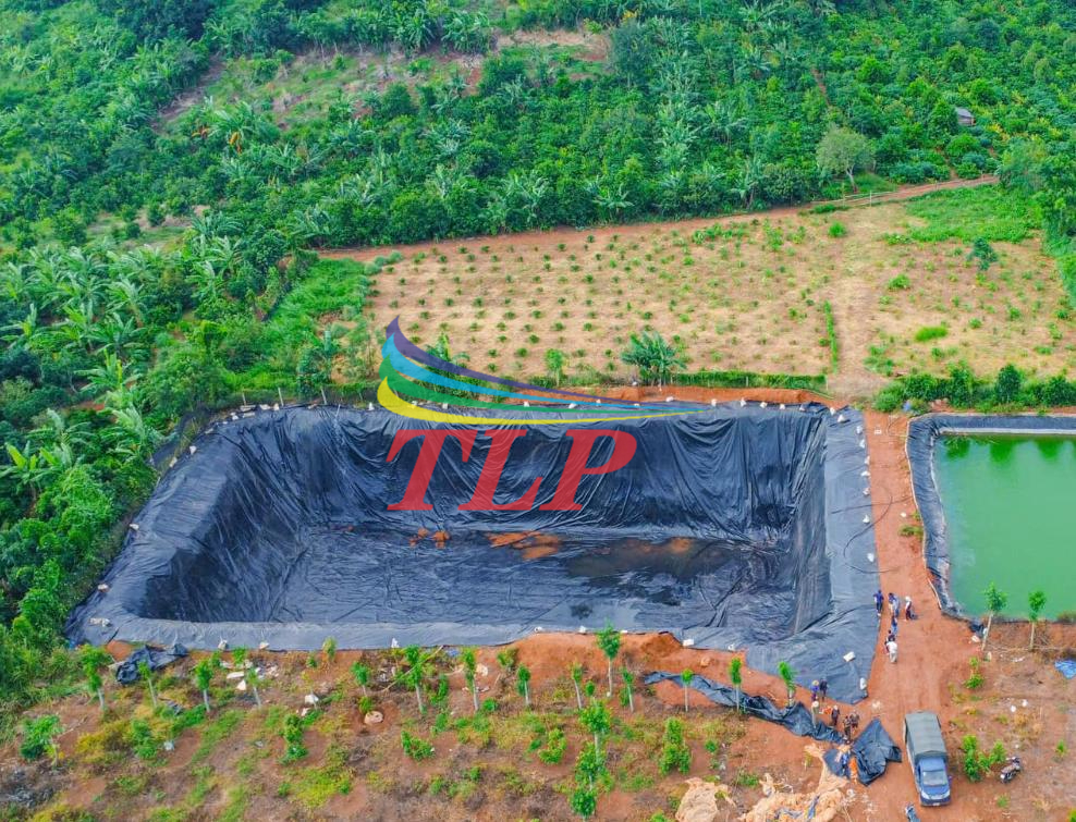 Bạt lót hồ chứa nước tưới cây trồng tại TP HCM 