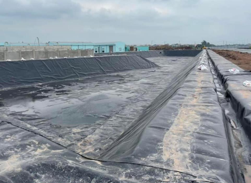 Bạt lót hồ nuôi trồng thủy hải sản tại Bình Dương