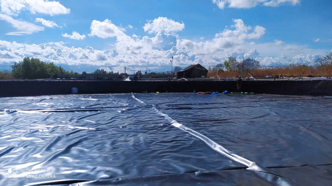 Bạt lót hồ nuôi trồng thủy hải sản tại Bình Dương