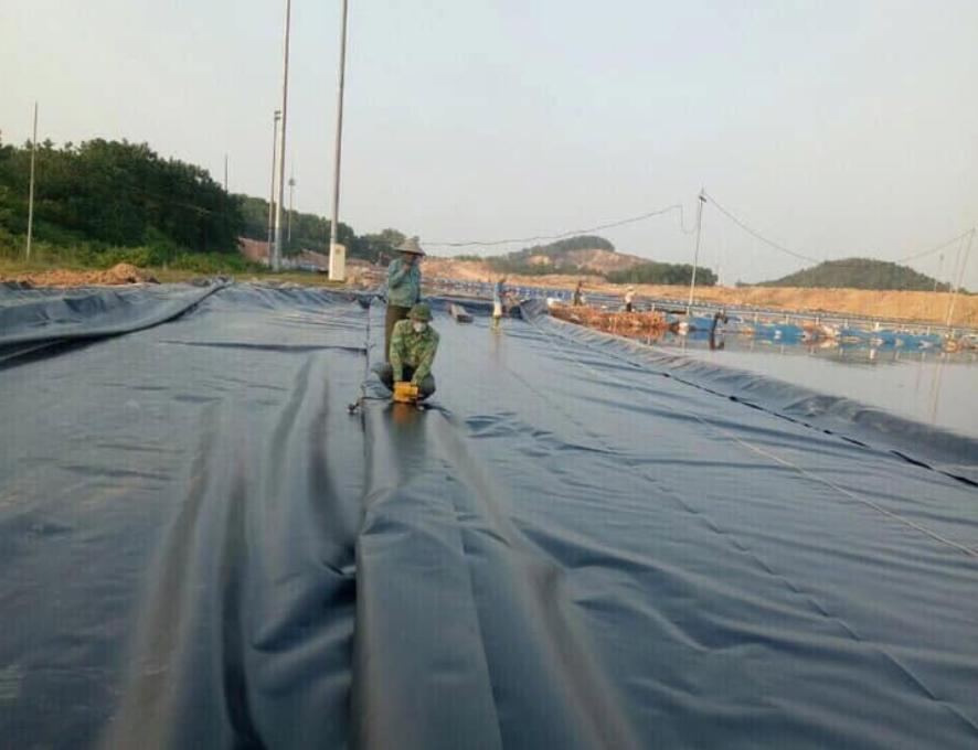 Bạt lót hồ xử lý chất thải, nước thải tại Bình Dương
