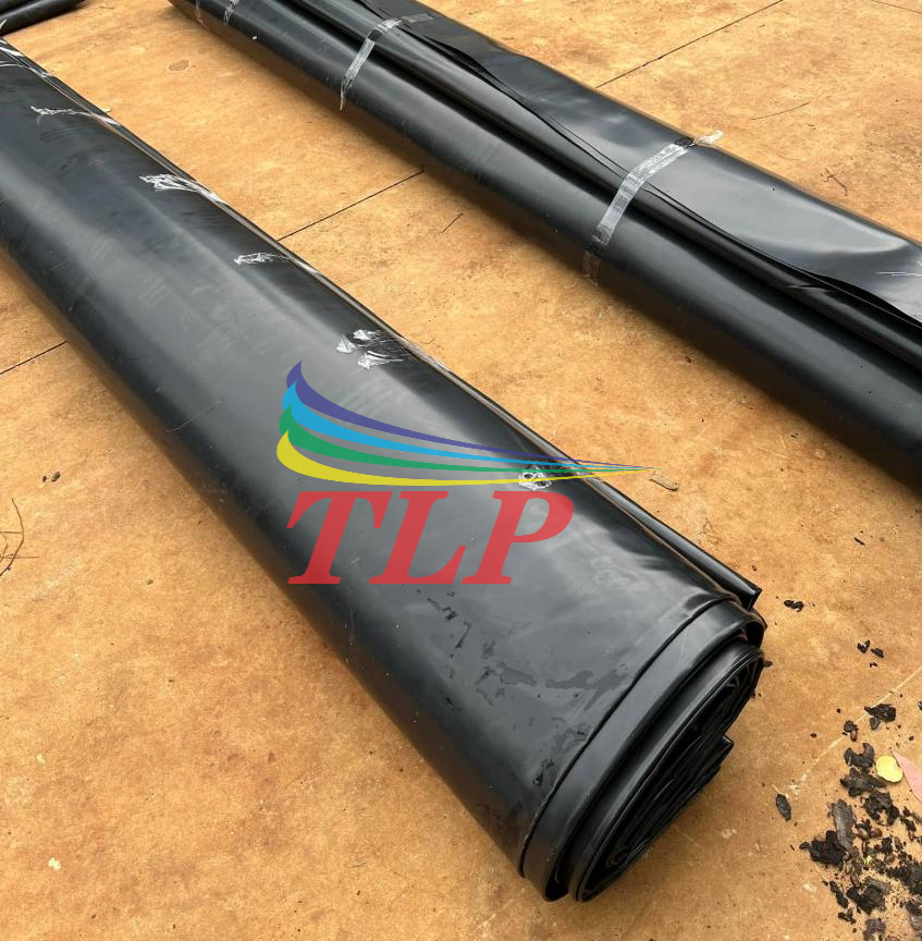 Nhà cung cấp bạt lót hồ chất lượng cao tại Tây Ninh - Cam kết giao hàng đúng hẹn