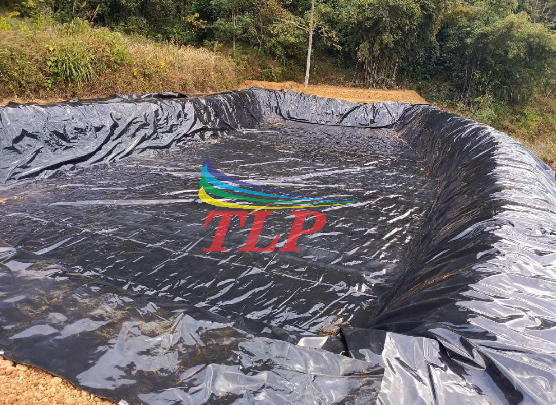 Nhận tư vấn, thi công bạt lót hồ tận nơi tại Bình Phước