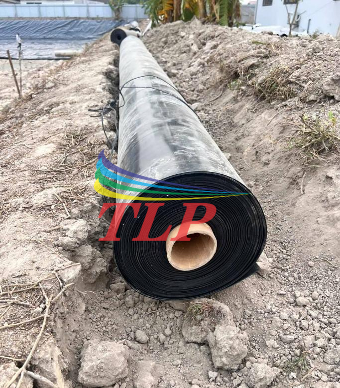 Tìm mua bạt lót hồ giao hàng nhanh tại Bình Phước