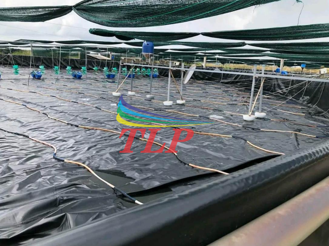 Thi công bạt lót hồ độ bền cao theo yêu cầu tại Bình Dương