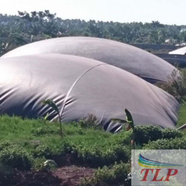 Bạt lót hầm xử lý biogas 08